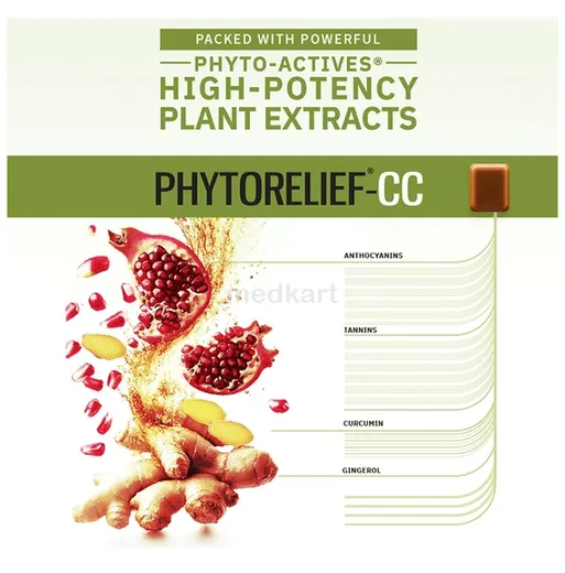 phyto relief cc lozenge tablet 10's